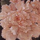 Ivory Peonies by Janet Kruskamp 24x24 Art Print Poster 743474