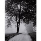 Country Road by Richard Calvo 13x19 Art Print Poster 731439