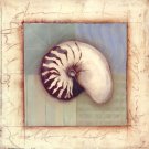 Shell Accents II by Celeste Peters 10x10 Art Print Poster 730643