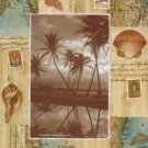 Palm Trees I by  Unknown 16x20 Art Print Poster 532259