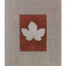 Silver Leaf III by Franco D'Ottore 14x20 Art Print Poster 114359