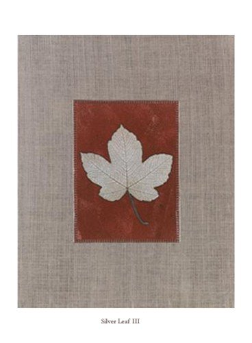 Silver Leaf III by Franco D'Ottore 14x20 Art Print Poster 114359