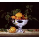 Still Life In Silver by Patrick Farrell 26x20 Art Print Poster 228503