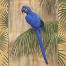 Hyacinth Macaw by Ron Jenkins 16x20 Art Print Poster 497989