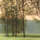Haze by Elissa Gore 20x20 Art Print Poster 740869