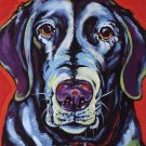 Shadow by Sally Evans 11x14 Art Print Poster 956508
