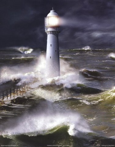 Lighthouse by Steve Bloom 11x14 Art Print Poster 669437