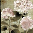 pink hydrangeas panel II by Elizabeth Medley 20x8 Art Print Poster 900176