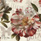 Spring Flair I by Lisa Audit 36x24 Art Print Poster 916610