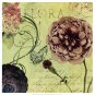 Flora by Aimee Wilson 19x19 Art Print Poster 888141