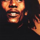 Bob Marley Red -Slim Print by  Unknown 12x36 Art Print Poster 239254
