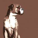 Boxer by Emily Burrowes 12x12 Art Print Poster 470870