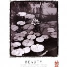 Beauty: Lilypads by  Unknown 22x28 Art Print Poster 755856