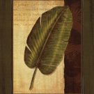 Palm Tropical II by Delphine Corbin 11x14 Art Print Poster 704153