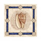 Volute Shell by Jane A. Matthews 10x10 Art Print Poster 659315