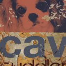 Cavalier Cuddler by M.J. Lew 14x20 Art Print Poster 748087
