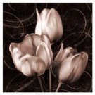Tulip & Swirls II by Christine Zalewski 19x19 Art Print Poster 923184