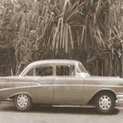 Car Palm Trees by  Figueredo 9.750x7.750 Art Print Poster 502012