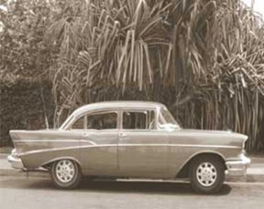 Car Palm Trees by  Figueredo 9.750x7.750 Art Print Poster 502012
