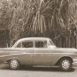 Car Palm Trees by  Figueredo 9.750x7.750 Art Print Poster 502012