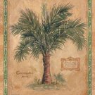 Palm Carpoxylon by Betty Whiteaker 9x11 Art Print Poster 125594