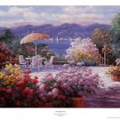 Cove Point Terrace by Charles Zhan 37x28 Art Print Poster 23678