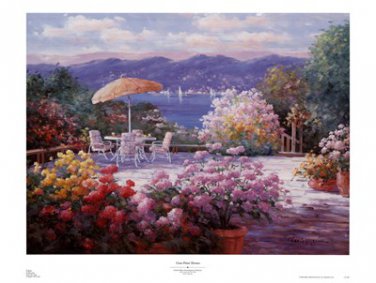 Cove Point Terrace by Charles Zhan 37x28 Art Print Poster 23678