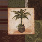 Potted Palm II by Pamela Smith-Desgrosellier 12x12 Art Print Poster 755480