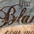 Fleur Blanche by Maria Donovan 20x8 Art Print Poster 690436