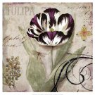 Tulipa II by Aimee Wilson 19x19 Art Print Poster 888146