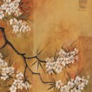 Oriental Blossoms II by Jennifer Hammond 16x20 Art Print Poster 871137