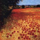 Field Of Red And Gold by Steve Thoms 24x24 Art Print Poster 228693
