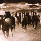 Running Horses by Monte Nagler 20x16 Art Print Poster 750714