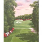 4TH HOLE V by Diane Romanello 24x34 Art Print Poster 785788