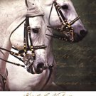 Carousel Horses by Kimberly Vickrey 27x30 Art Print Poster 786130