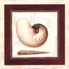 Nautile by Lisa Audit 10x10 Art Print Poster 174823