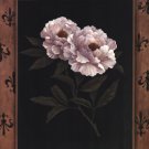 Peony Fleur by T.C. Chiu 16x20 Art Print Poster 712885
