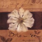 White Flower by Cristina Valades 12x12 Art Print Poster 499108