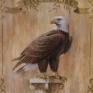 Eagle Freedom by Ron Jenkins 16x20 Art Print Poster 704003