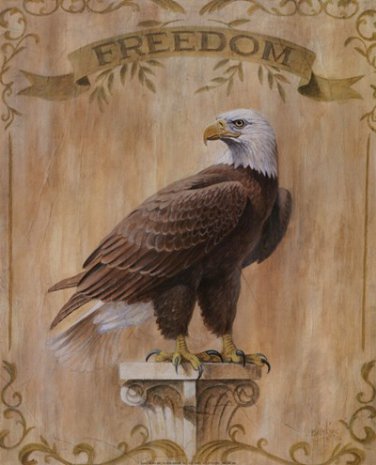 Eagle Freedom by Ron Jenkins 16x20 Art Print Poster 704003
