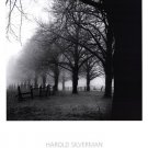 Black And White Morning by Harold Silverman 19.5x27.5 Art Print Poster 175827