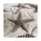 La Mer 2 by Alan Blaustein 24x24 Art Print Poster 263165