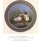 Two Ducks, (The Vatican Collection) by  Unknown 16x20 Art Print Poster 713185