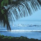 South Swell at Puamana by Stephen Reich 28x26 Art Print Poster 462213