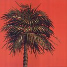 Daylight Palms III by Marla Schroeder 16x16 Art Print Poster 727799