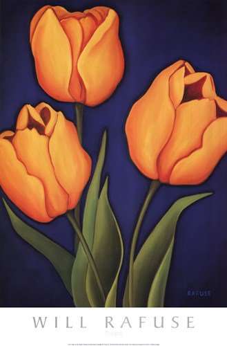Tulips by Will Rafuse 17.5x27 Art Print Poster 730507