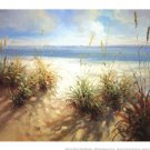 Across the Dunes by Craig McConnell 11x9 Art Print Poster 729150