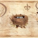 Nesting I by Deborah Devellier 27.5x13.750 Art Print Poster 912090