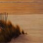 Beach Fence by Diane Romanello 20x5 Art Print Poster 731340