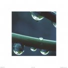Rain by  Unknown 12x12 Art Print Poster 871231